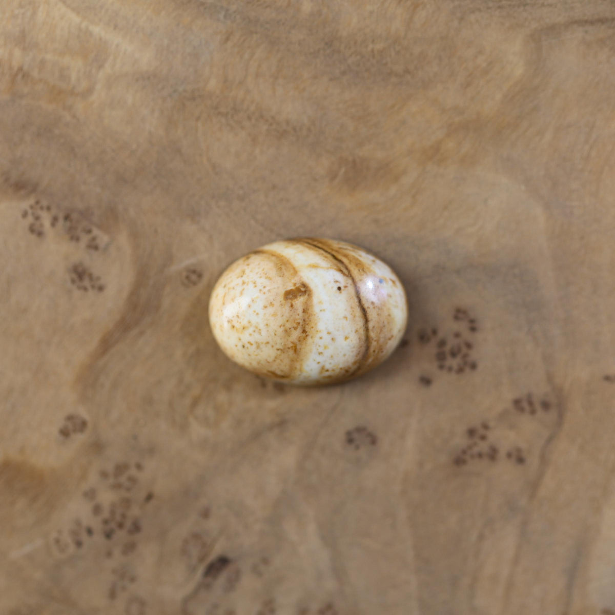 Picture Jasper East West Oval Ring | Sterling Silver | Choose Your Stone