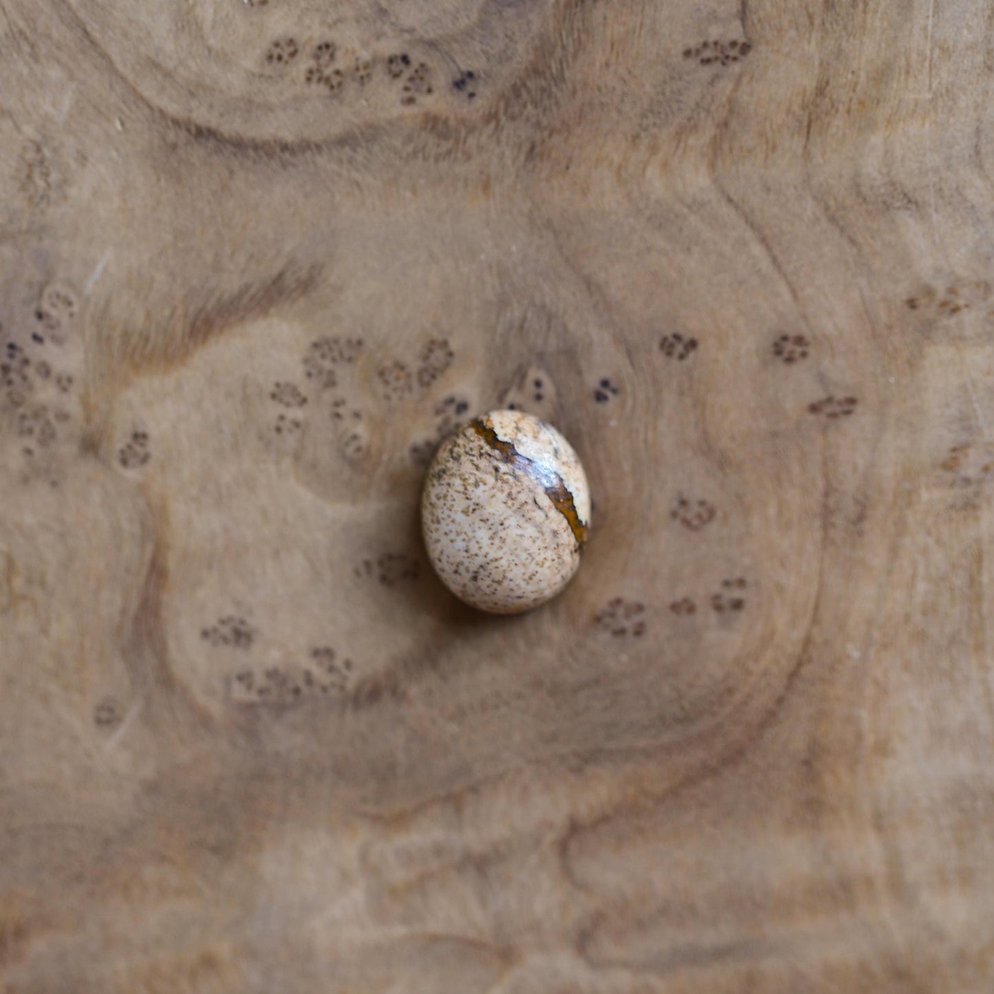 Picture Jasper Sterling Silver Ring - Handmade Silversmith Jewelry