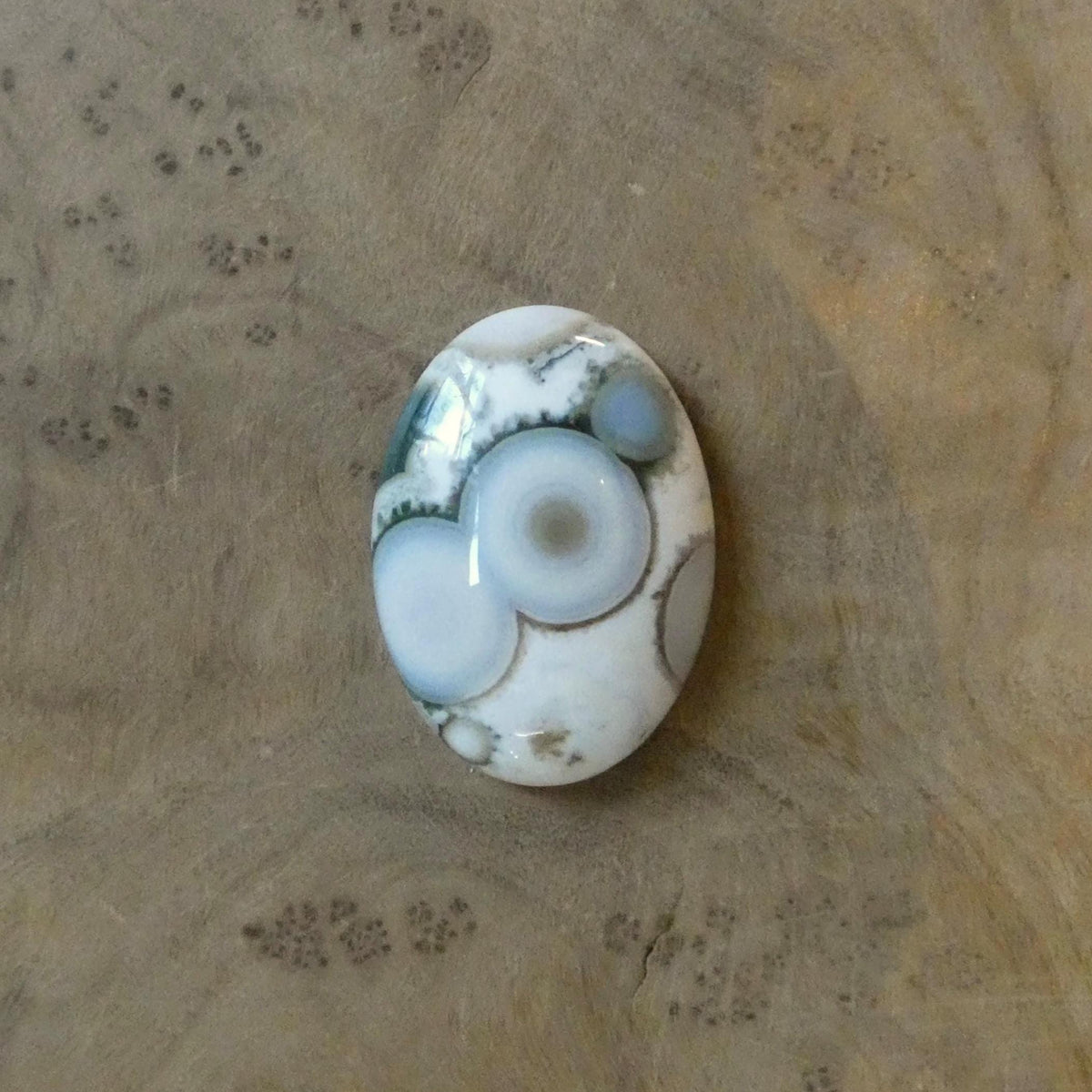 Ocean Jasper Big Ring | Sterling Silver