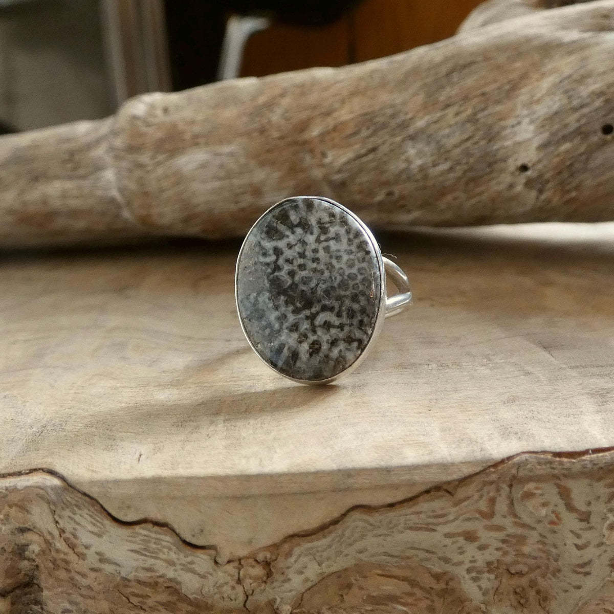 Black Fossil Ring | Sterling Silver
