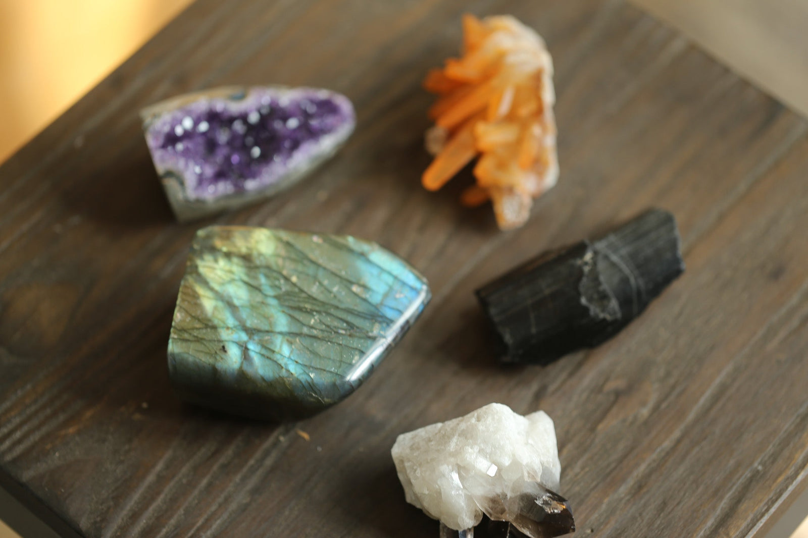 The Warm & Fuzzy Magic of Being in Baltimore in my little rock and jewelry shop