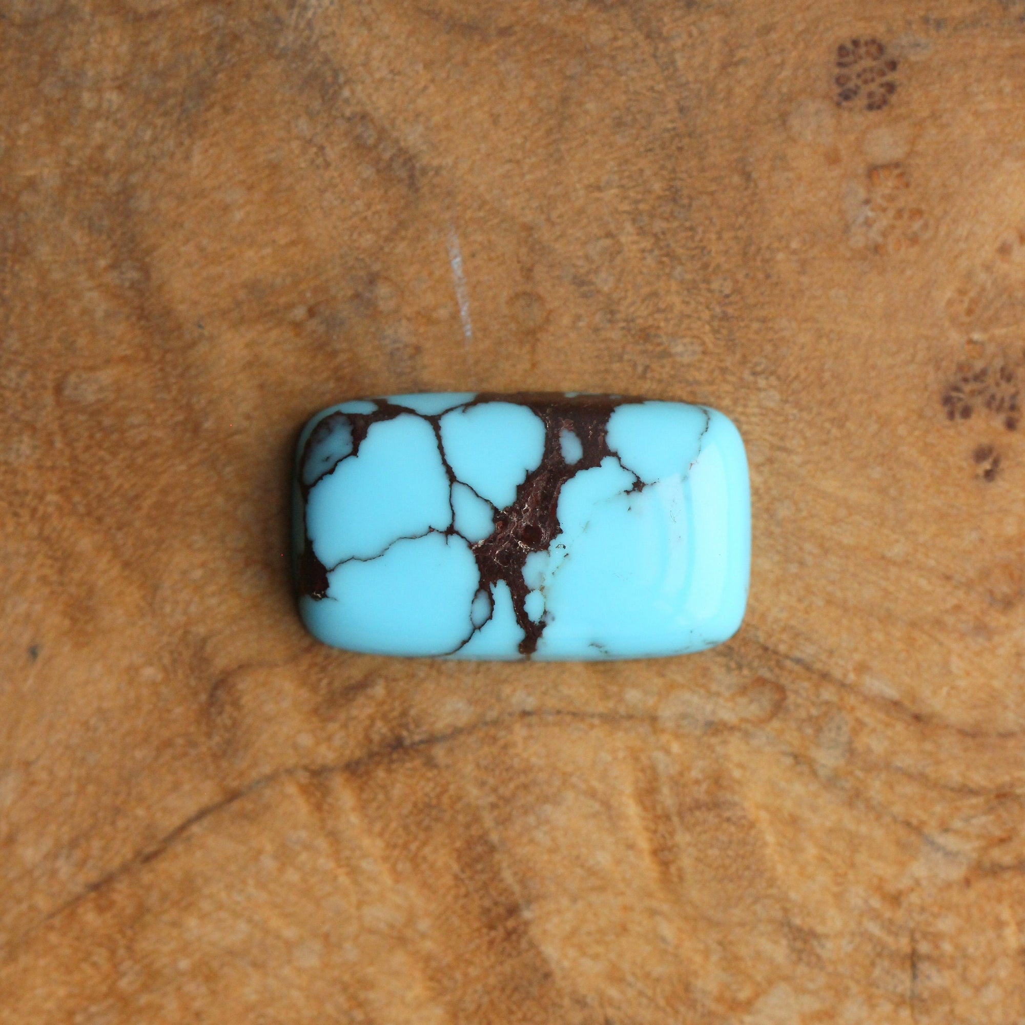 Egyptian Turquoise Hanging Rock Necklace - Choose Your Stone