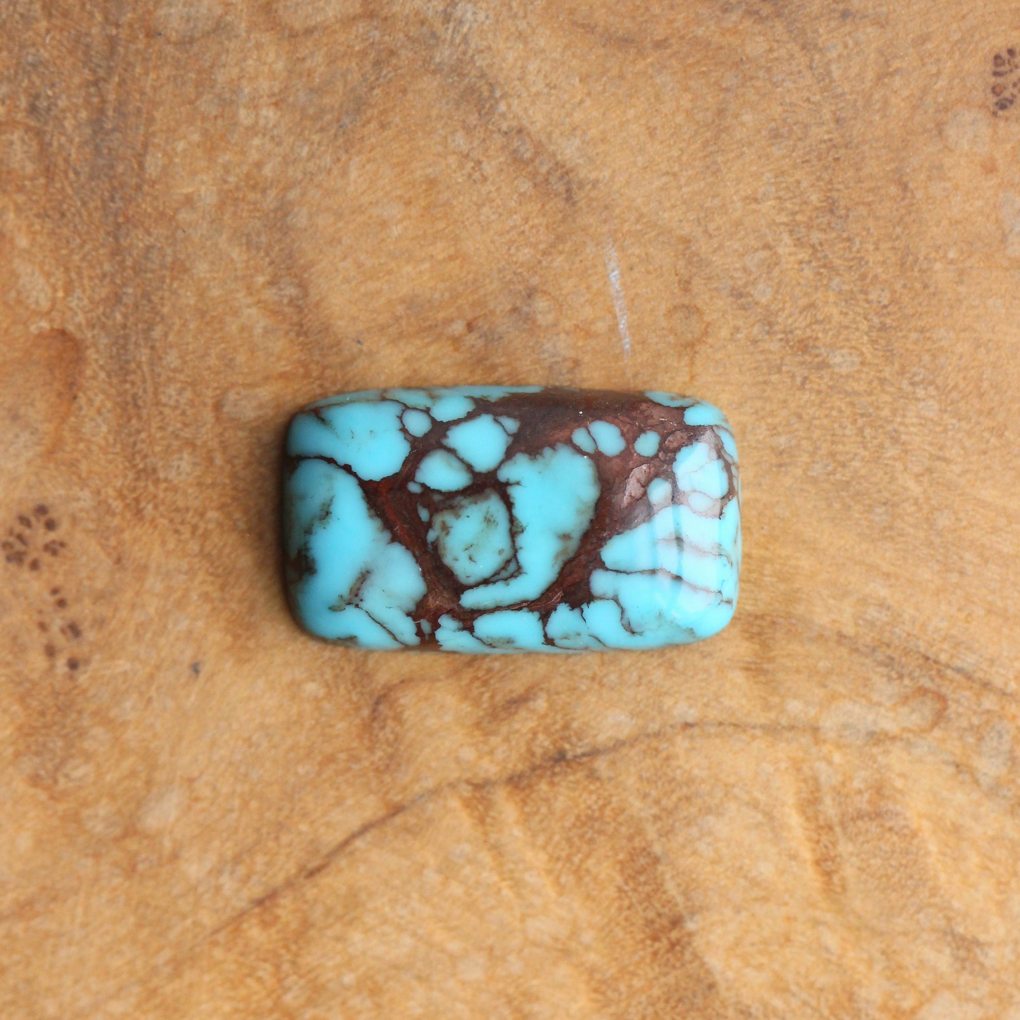Egyptian Turquoise Hanging Rock Necklace - Choose Your Stone