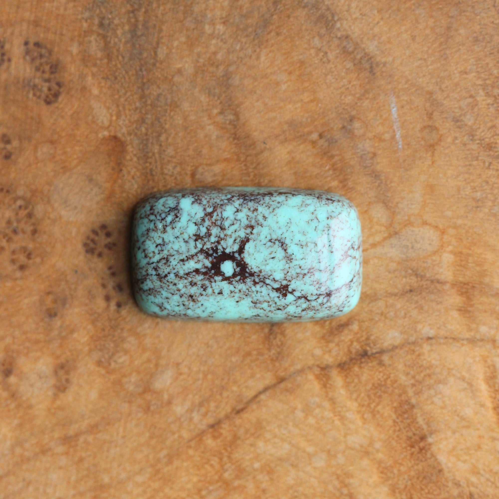 Egyptian Turquoise Hanging Rock Necklace - Choose Your Stone