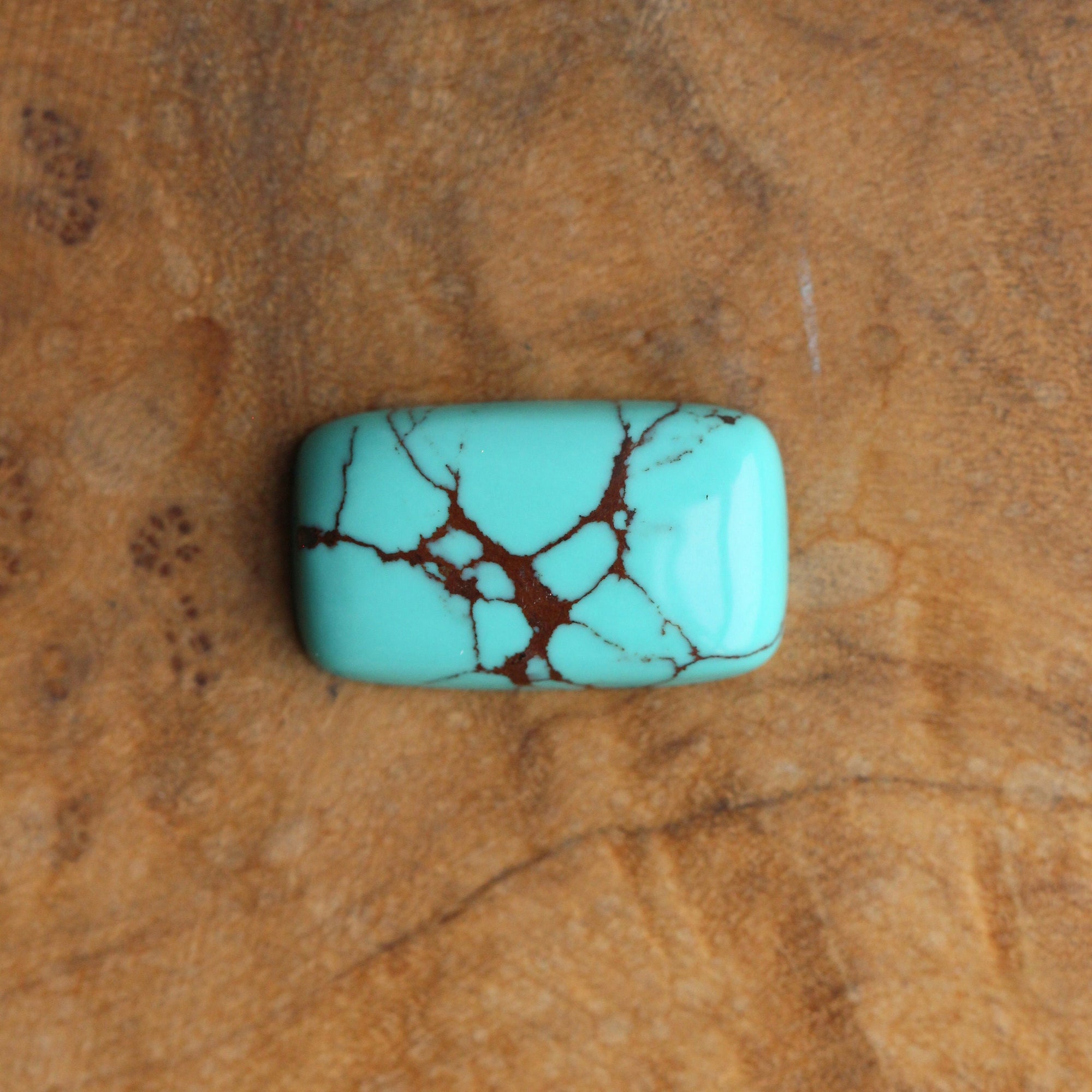 Egyptian Turquoise Hanging Rock Necklace - Choose Your Stone