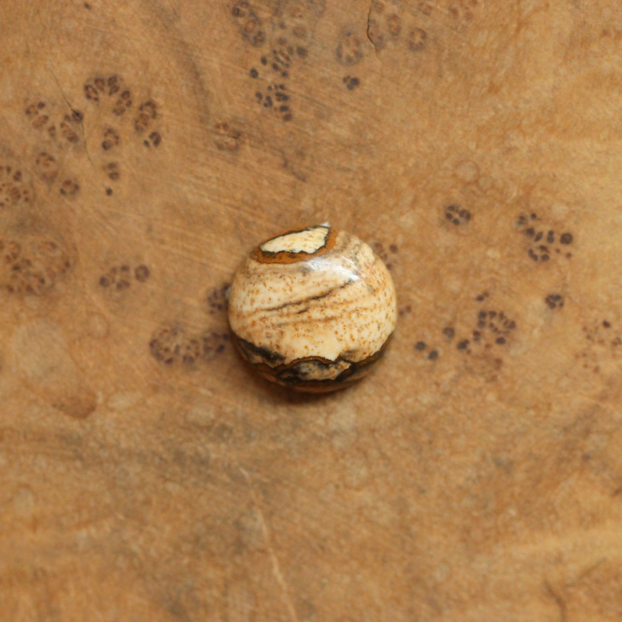 Picture Jasper Pendant - Sweetheart Necklace - .925 Sterling Silver - Picture Jasper Necklace