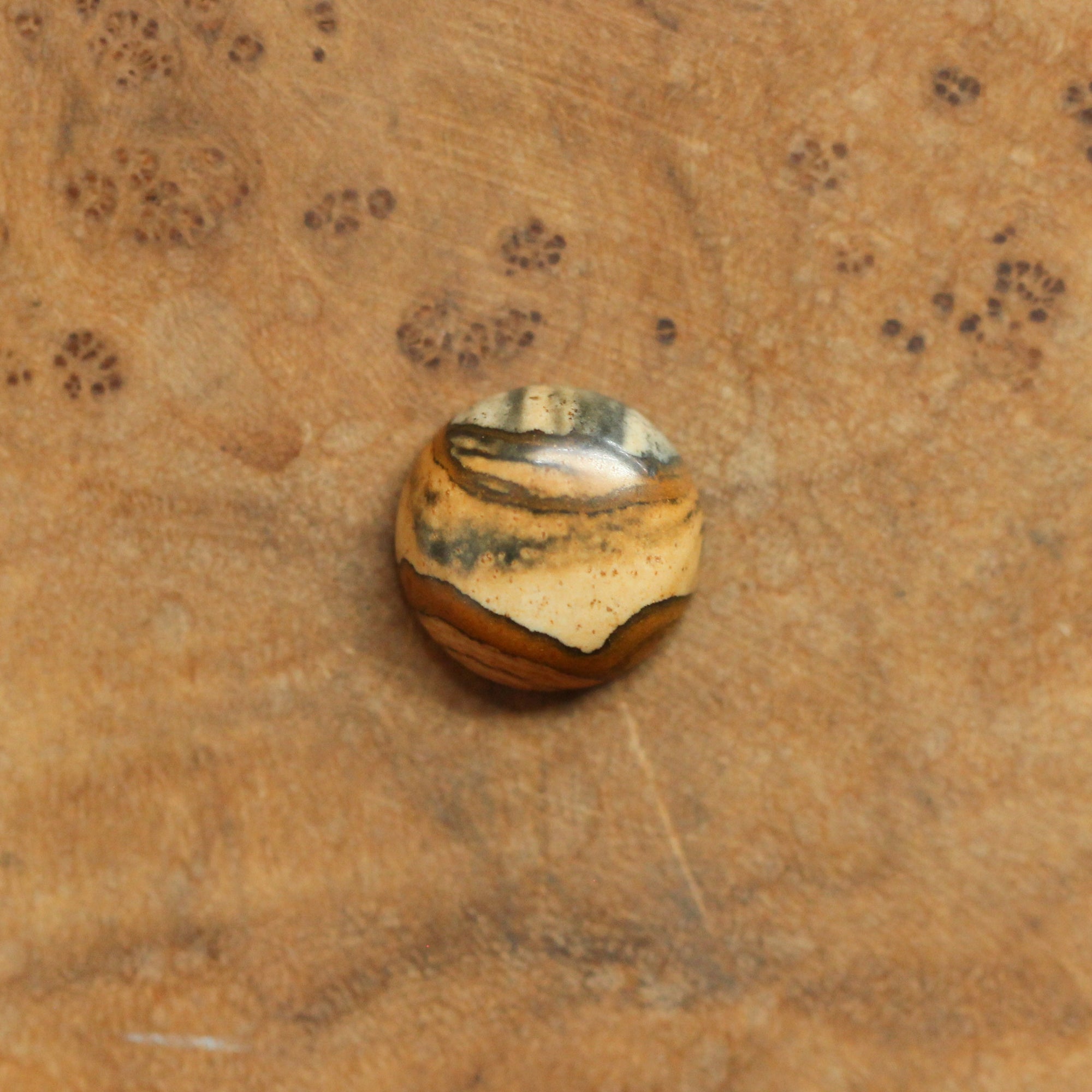 Picture Jasper Pendant - Sweetheart Necklace - .925 Sterling Silver - Picture Jasper Necklace