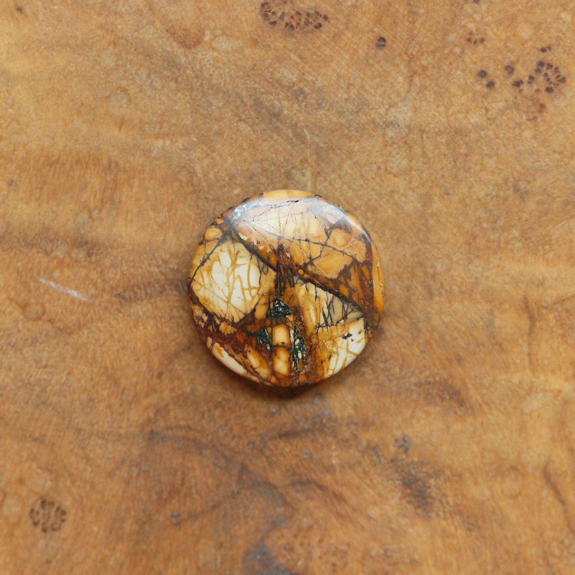 Custom Red Creek Jasper Bolo Necklace - Cherry Creek Jasper - Choose Your Stone