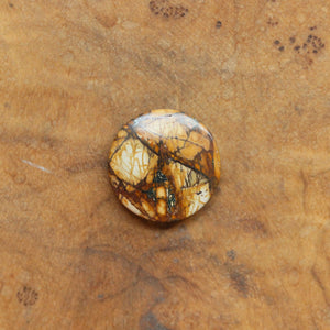 Custom Red Creek Jasper Bolo Necklace - Cherry Creek Jasper - Choose Your Stone