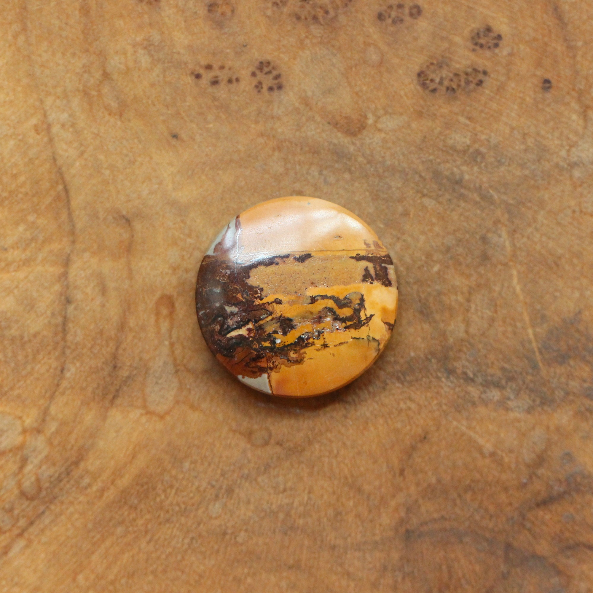 Custom Red Creek Jasper Bolo Necklace - Cherry Creek Jasper - Choose Your Stone