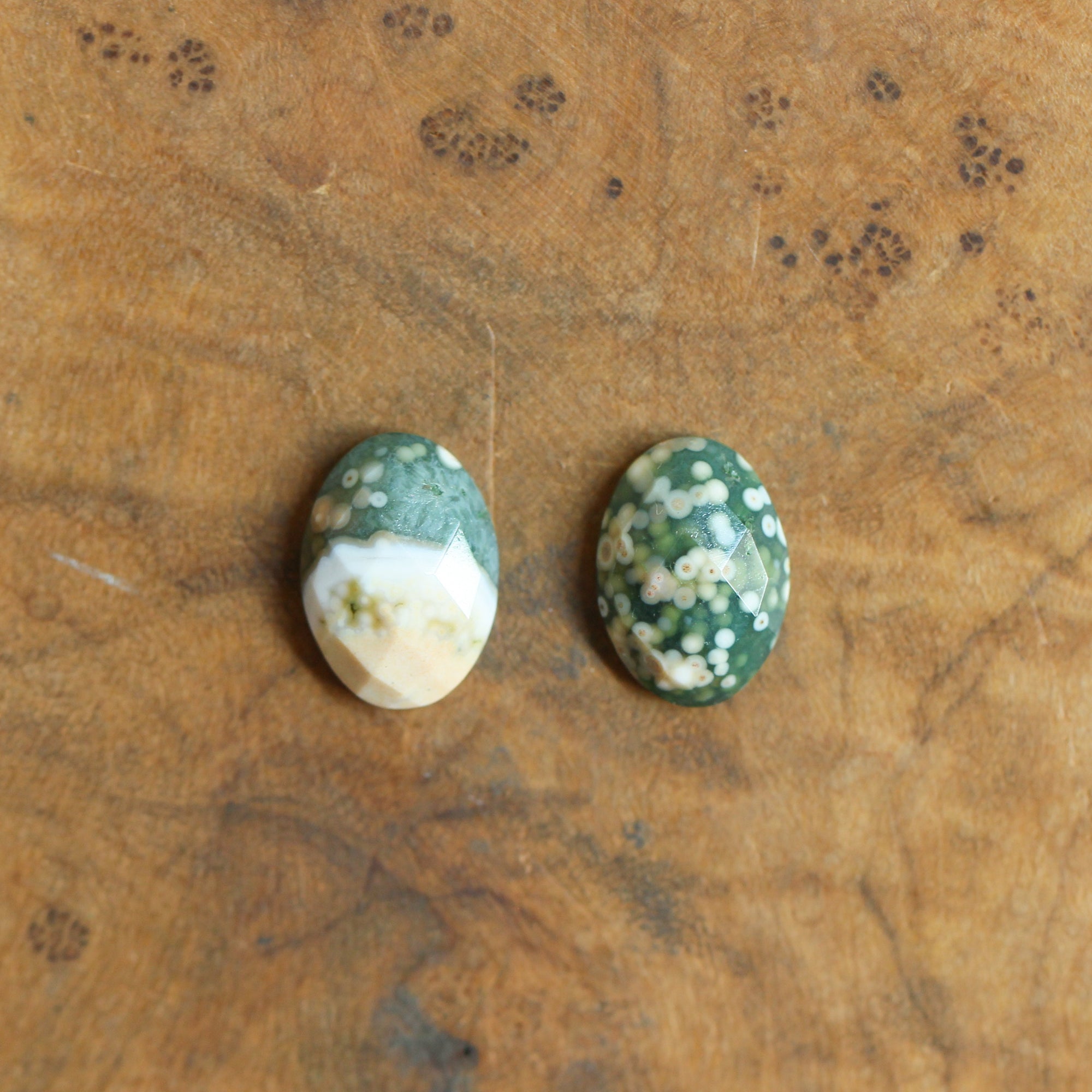 Ocean Jasper Hoops - Ocean Jasper Earrings - Sterling Silver Hoops - Ocean Jasper Post Hoops