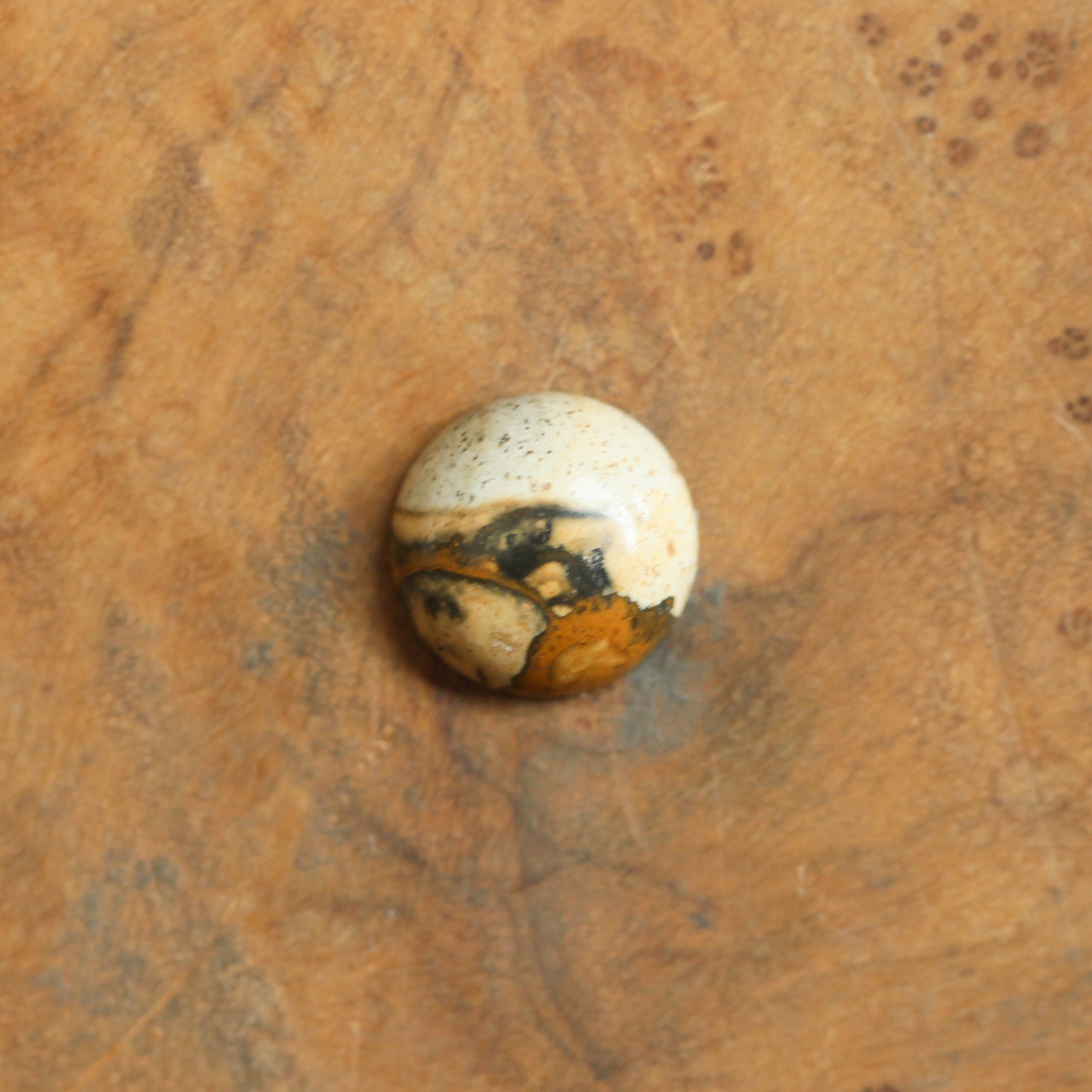 Picture Jasper Pendant - Sweetheart Necklace - .925 Sterling Silver - Picture Jasper Necklace