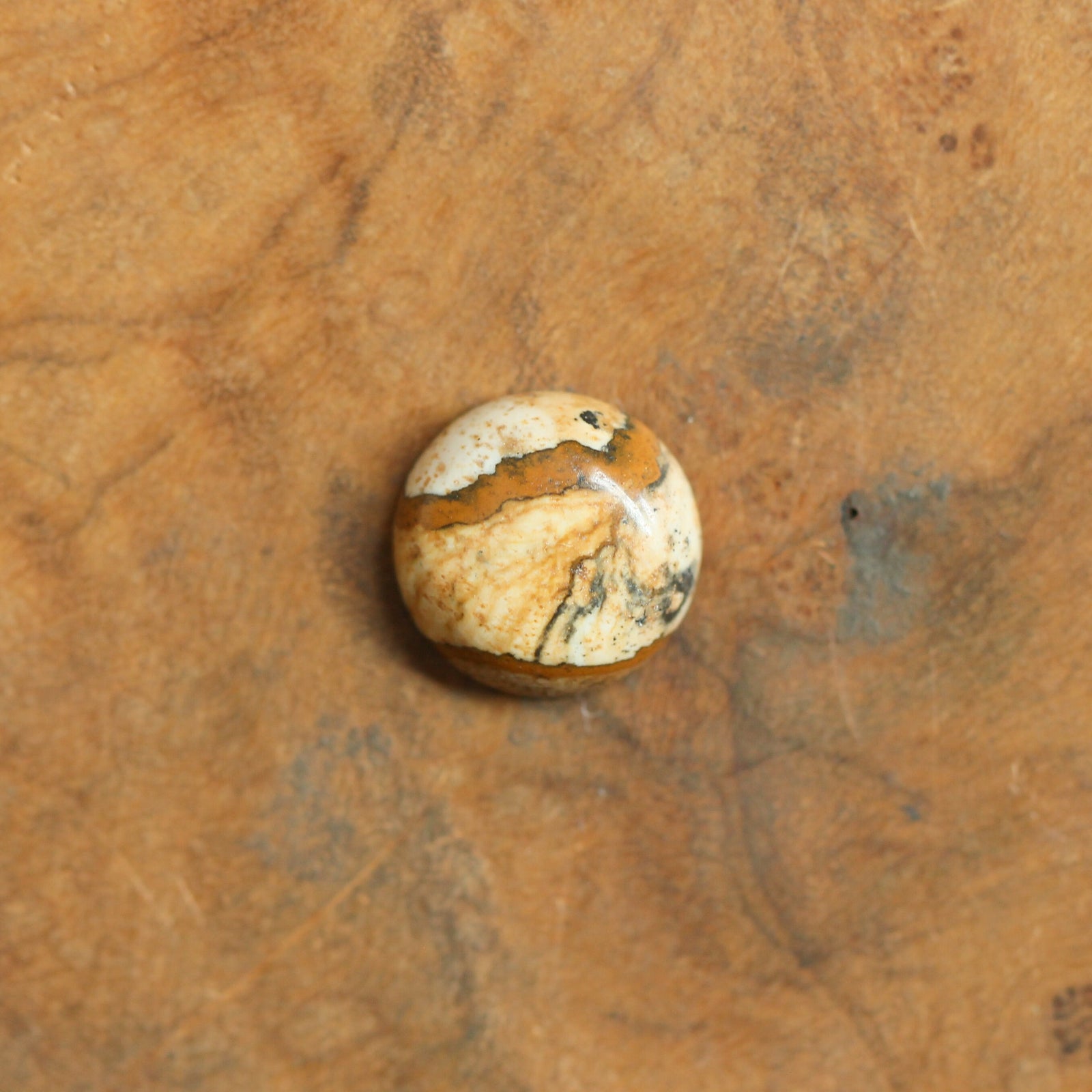 Picture Jasper Pendant - Sweetheart Necklace - .925 Sterling Silver - Picture Jasper Necklace