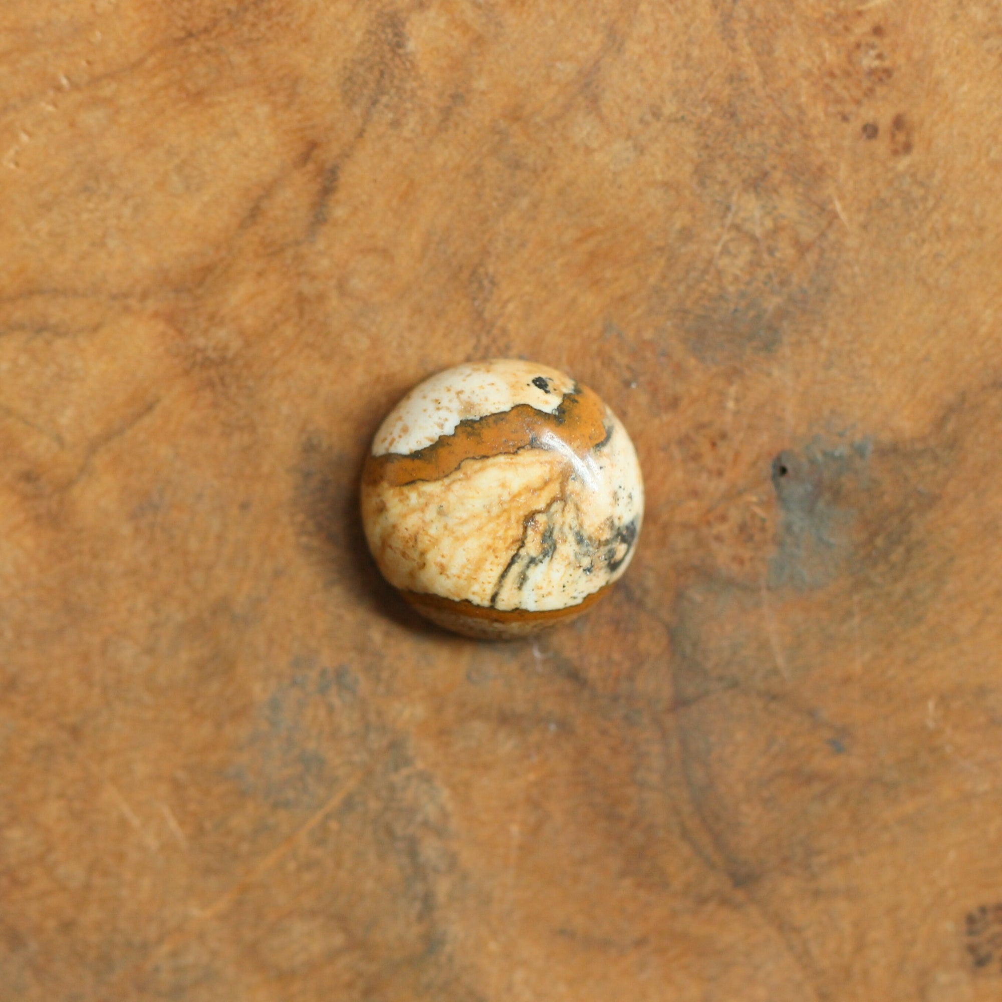 Picture Jasper Pendant - Sweetheart Necklace - .925 Sterling Silver - Picture Jasper Necklace