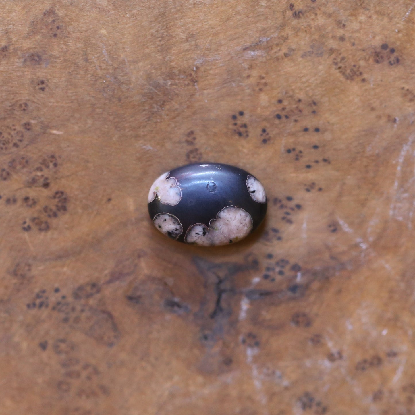 Silversmith Fossil Jasper Cuff Bracelet – Sterling Silver Bangle
