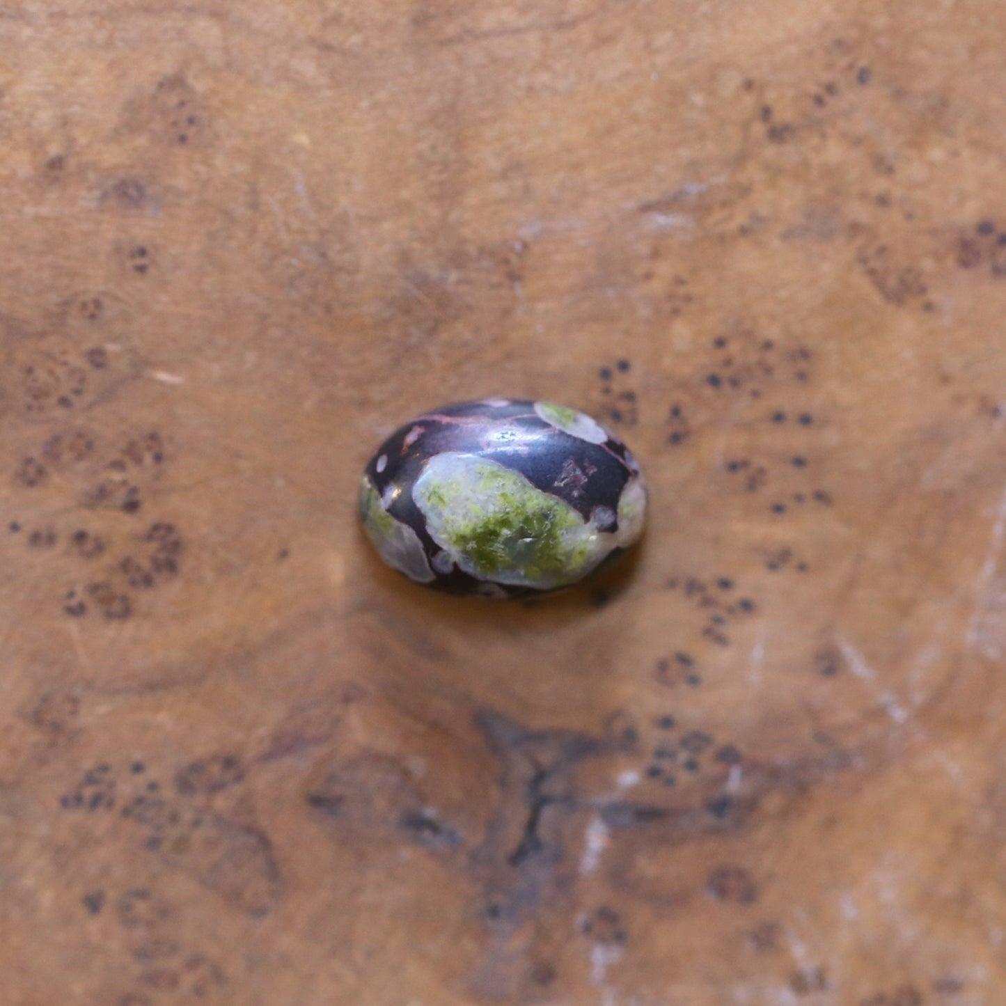 Silversmith Fossil Jasper Cuff Bracelet – Sterling Silver Bangle