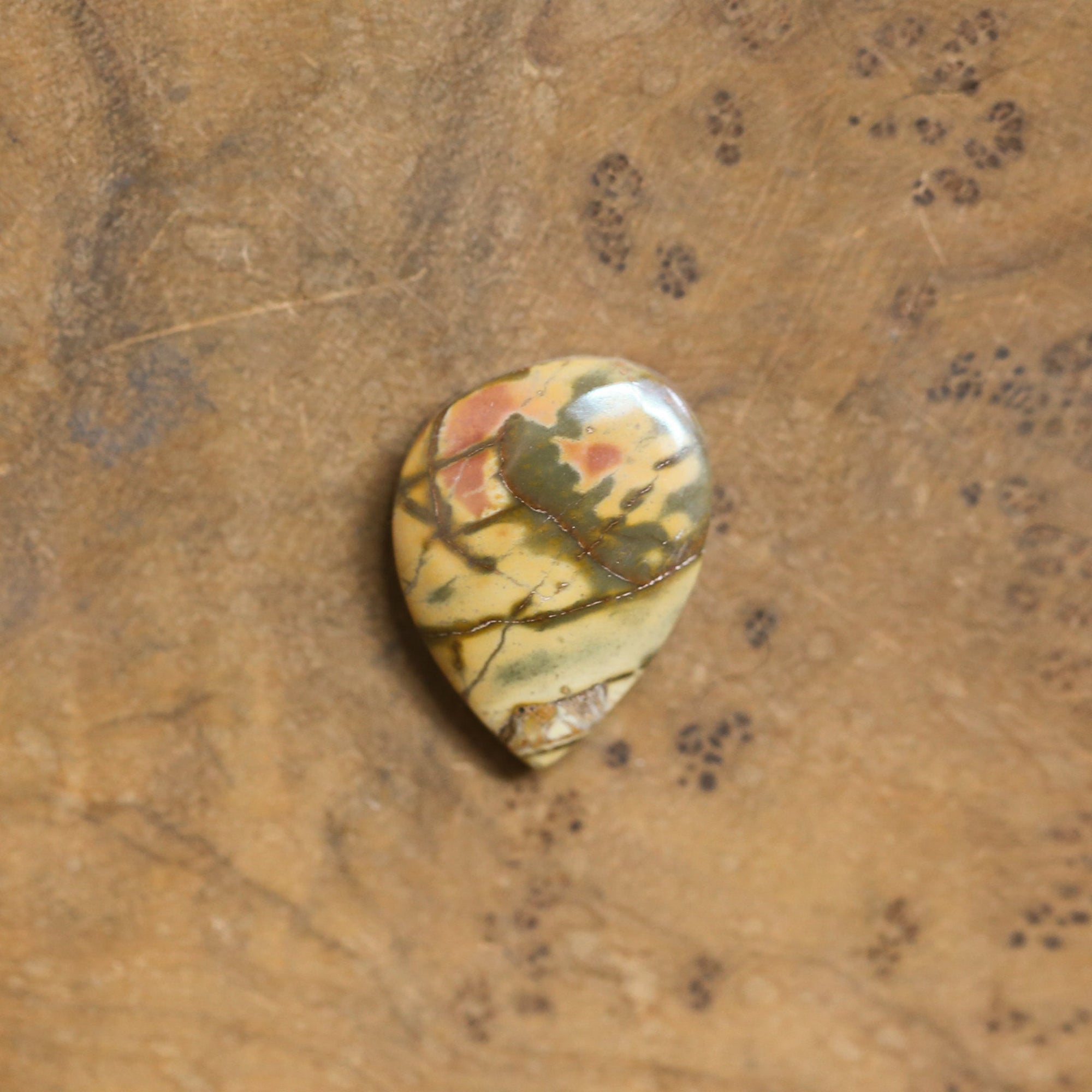 Red Creek Jasper Pendant - 14K Solid Gold Accents - Sterling Silver