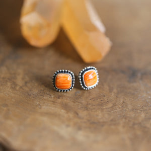 Spiny Oyster Post Earrings - Orange Stud Earrings - Sterling Silver