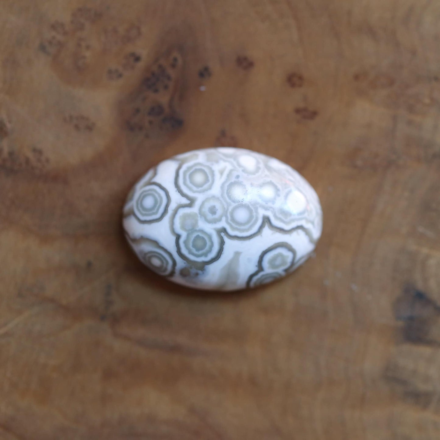 Custom Ocean Jasper East-West Center Stone Necklace - .925 Silversmith - Choose Your Stone