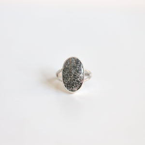 Fossilized Coral Ring - Black Fossil Coral - Ready to Ship - Fossil Ring - Sterling Silver Ring