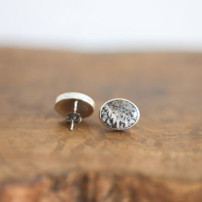 Fossilized Coral Sterling Silver Post Earrings - OOAK Agate Jewelry