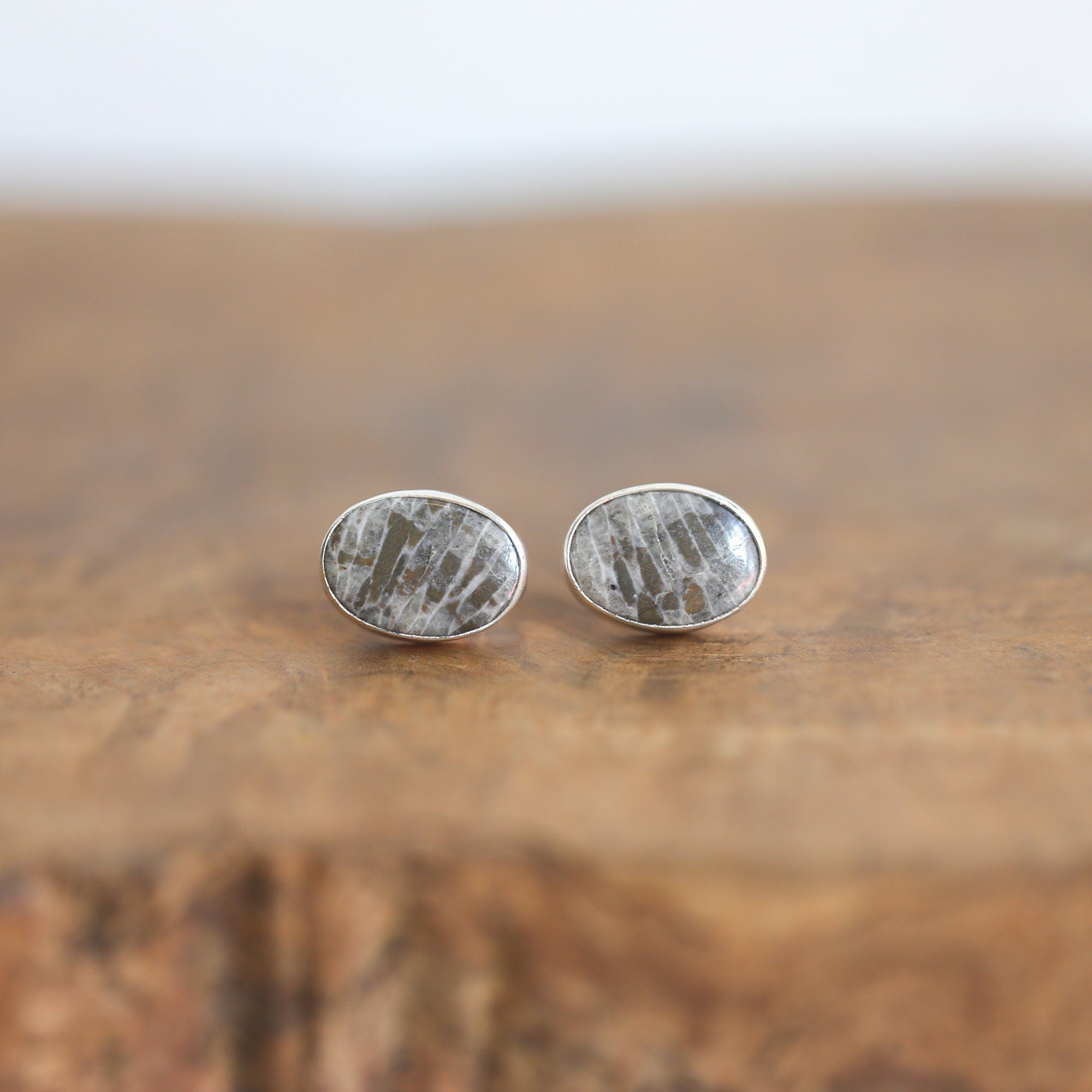 Fossilized Coral Post Earrings - Black Grey Fossil Coral Earrings - Sterling Silver
