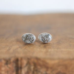 Fossilized Coral Post Earrings - Black Grey Fossil Coral Earrings - Sterling Silver