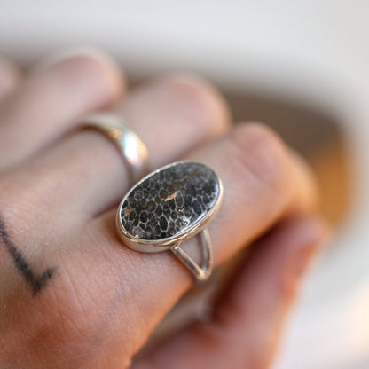 Black Fossil Ring | Sterling Silver