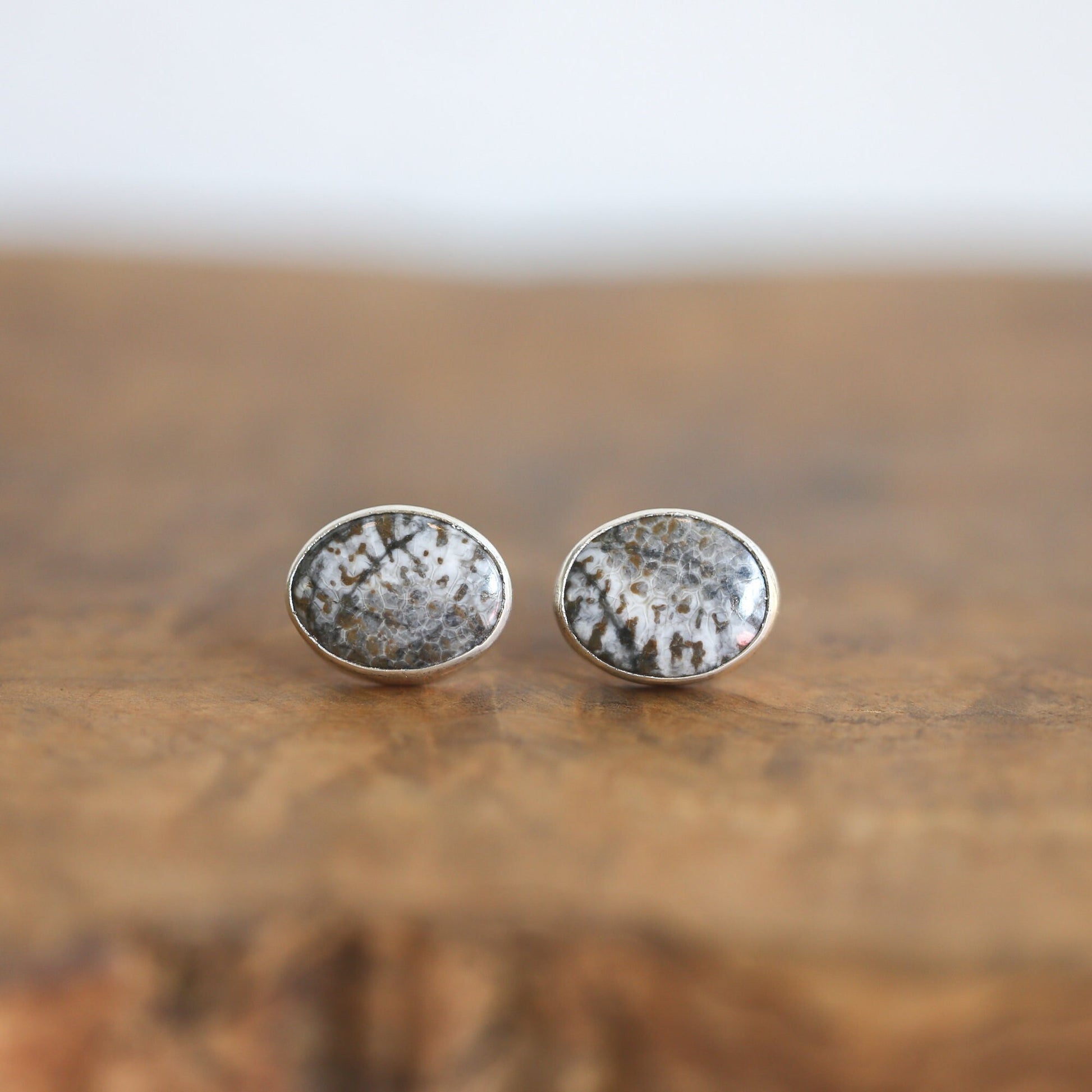 Fossilized Coral Sterling Silver Post Earrings - OOAK Agate Jewelry