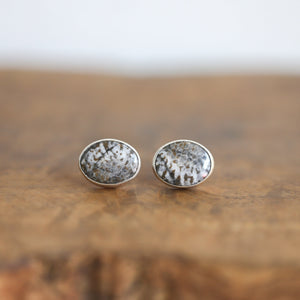 Fossilized Coral Post Earrings - Black Grey Fossil Coral Earrings - Sterling Silver