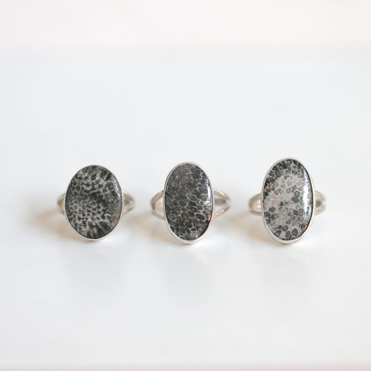 Black Fossil Ring | Sterling Silver