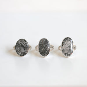 Fossilized Coral Ring - Black Fossil Coral - Ready to Ship - Fossil Ring - Sterling Silver Ring