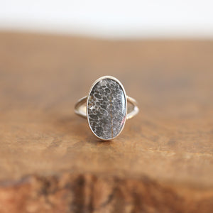 Fossilized Coral Ring - Black Fossil Coral - Ready to Ship - Fossil Ring - Sterling Silver Ring