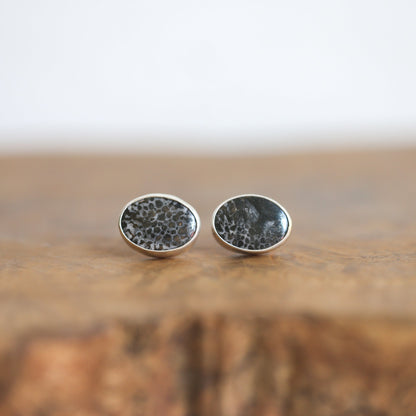 Fossilized Coral Sterling Silver Post Earrings - OOAK Agate Jewelry