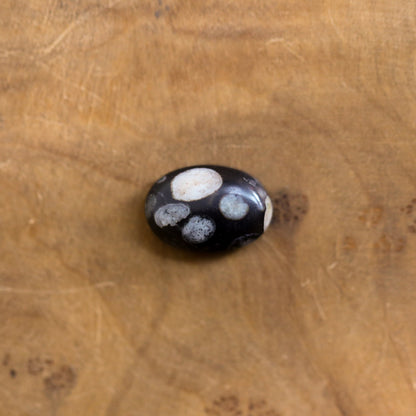 Sterling Silver Fossil Jasper Ring – East West Oval Stone