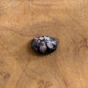 Black Fossil Ring - East West Fossil Ring - Silversmith Ring - Boho Ring - Natural Fossil