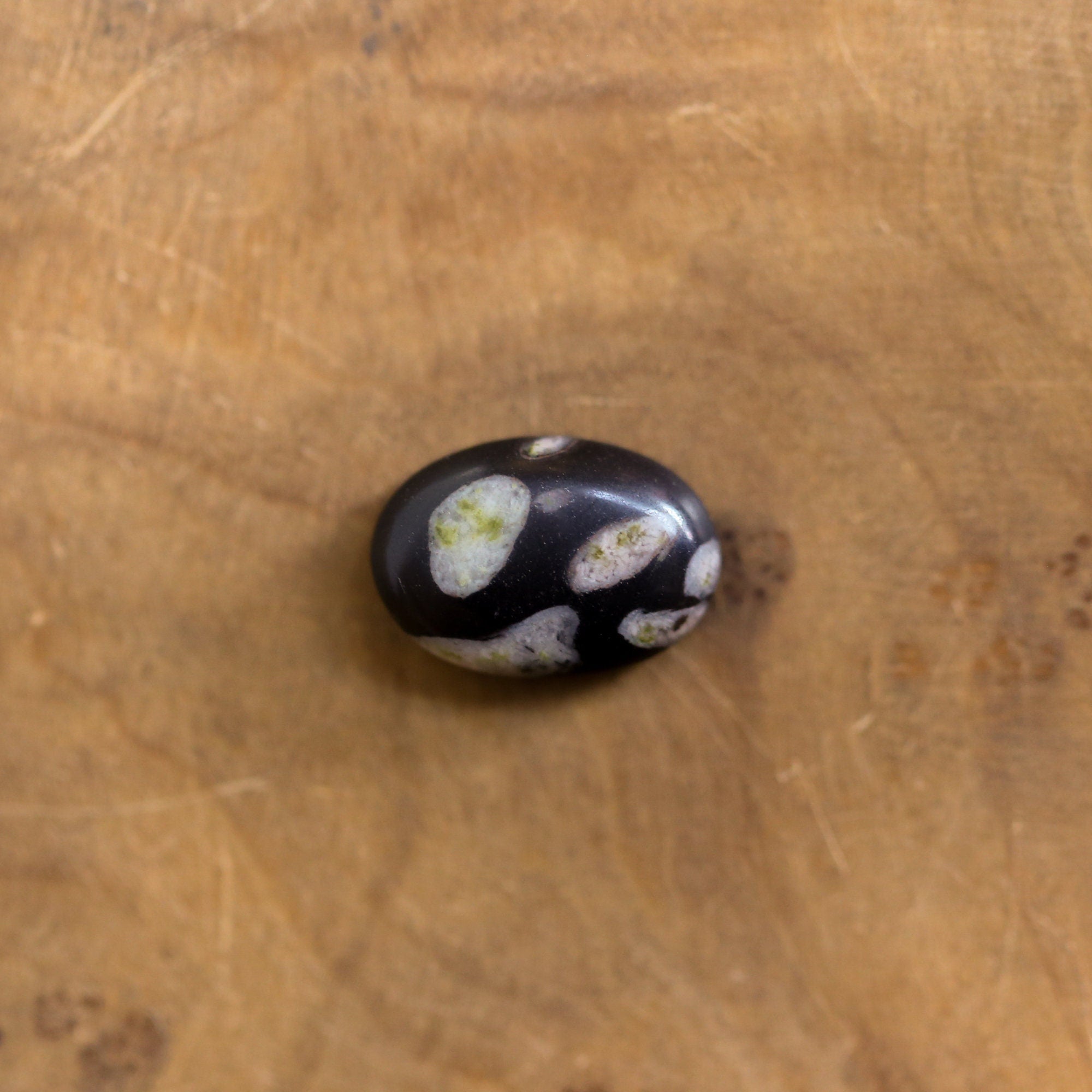 Black Fossil Ring - East West Fossil Ring - Silversmith Ring - Boho Ring - Natural Fossil