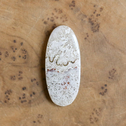 Choose Your Stone: Sterling Silver Crazy Lace Agate Ring - Silversmith Design
