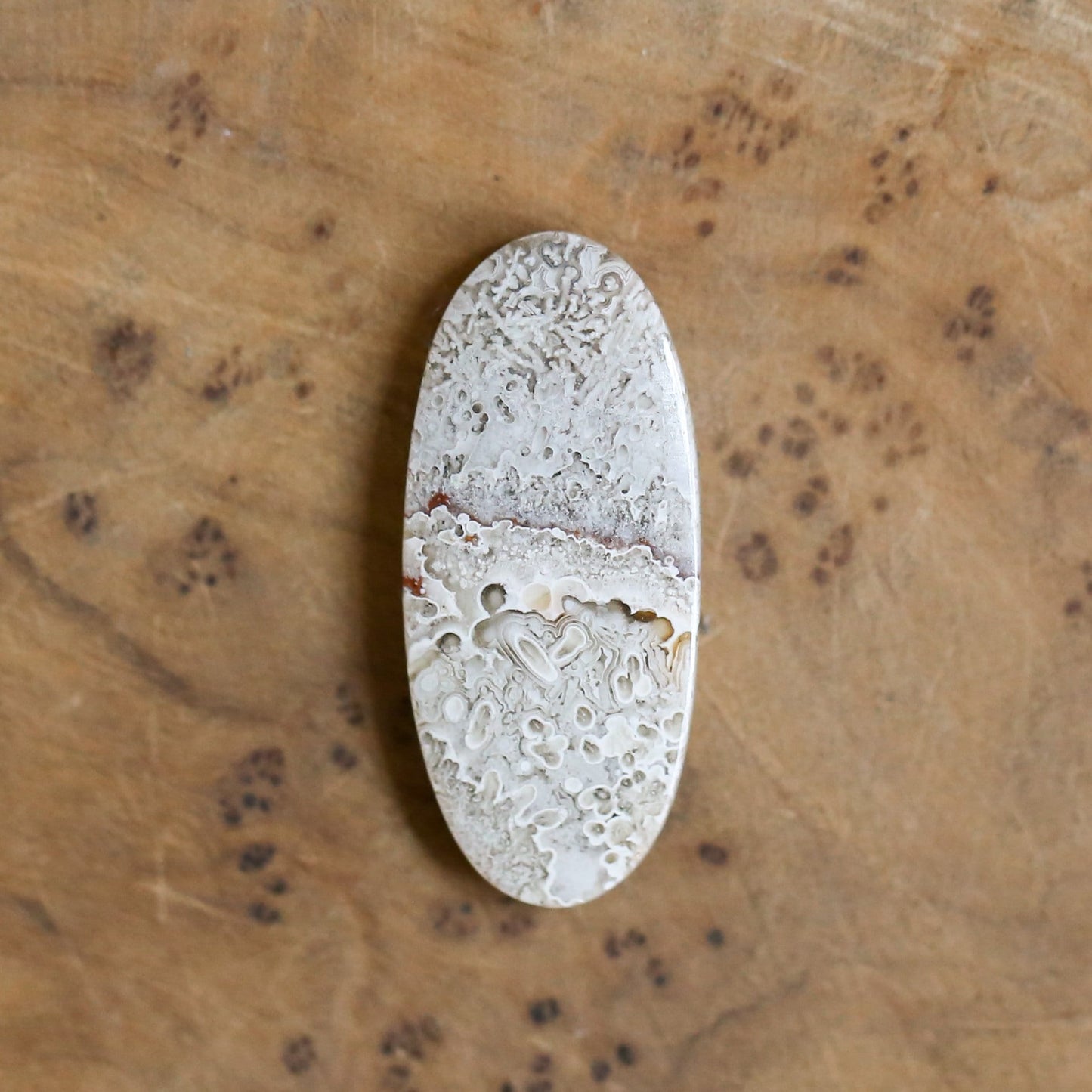 Choose Your Stone: Sterling Silver Crazy Lace Agate Ring - Silversmith Design