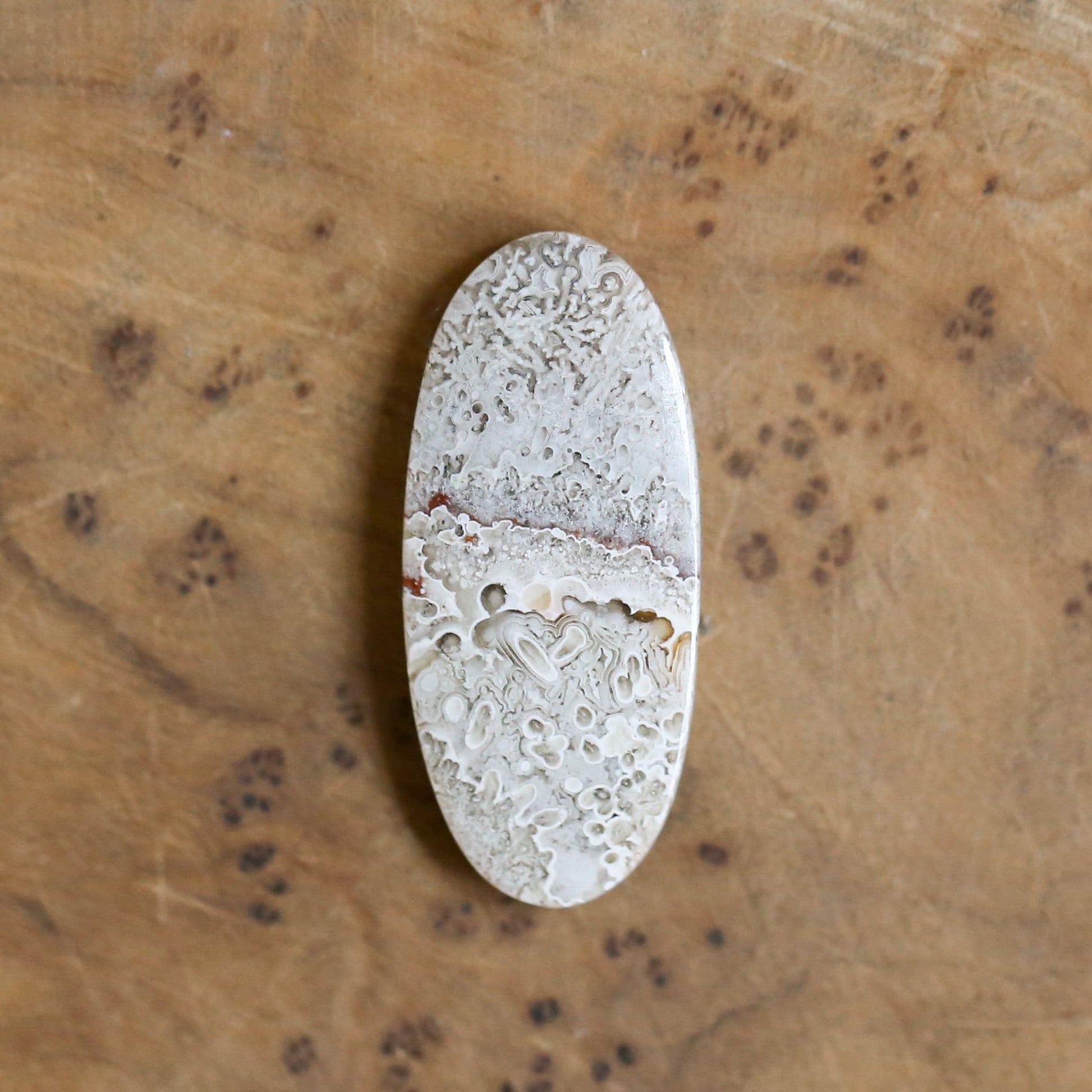 Choose Your Stone: Sterling Silver Crazy Lace Agate Ring - Silversmith Design