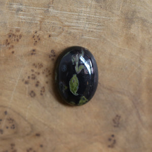 Black Fossil Bolo Necklace - Choose Your Stone - Sterling Silver