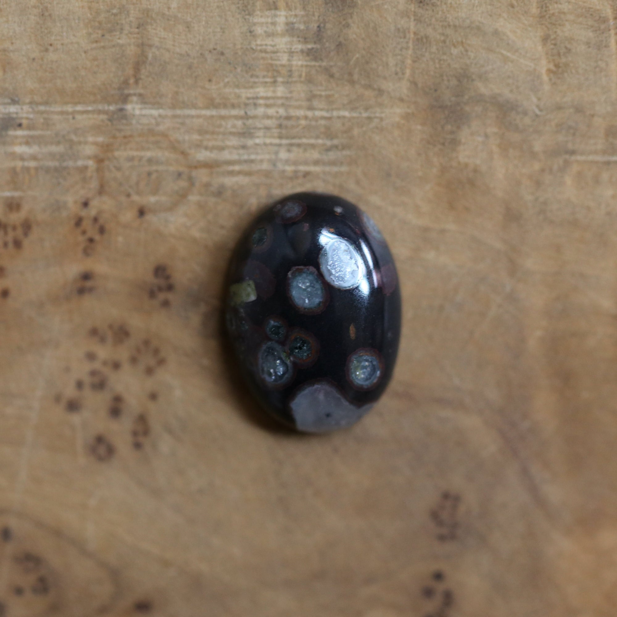 Black Fossil Bolo Necklace - Choose Your Stone - Sterling Silver