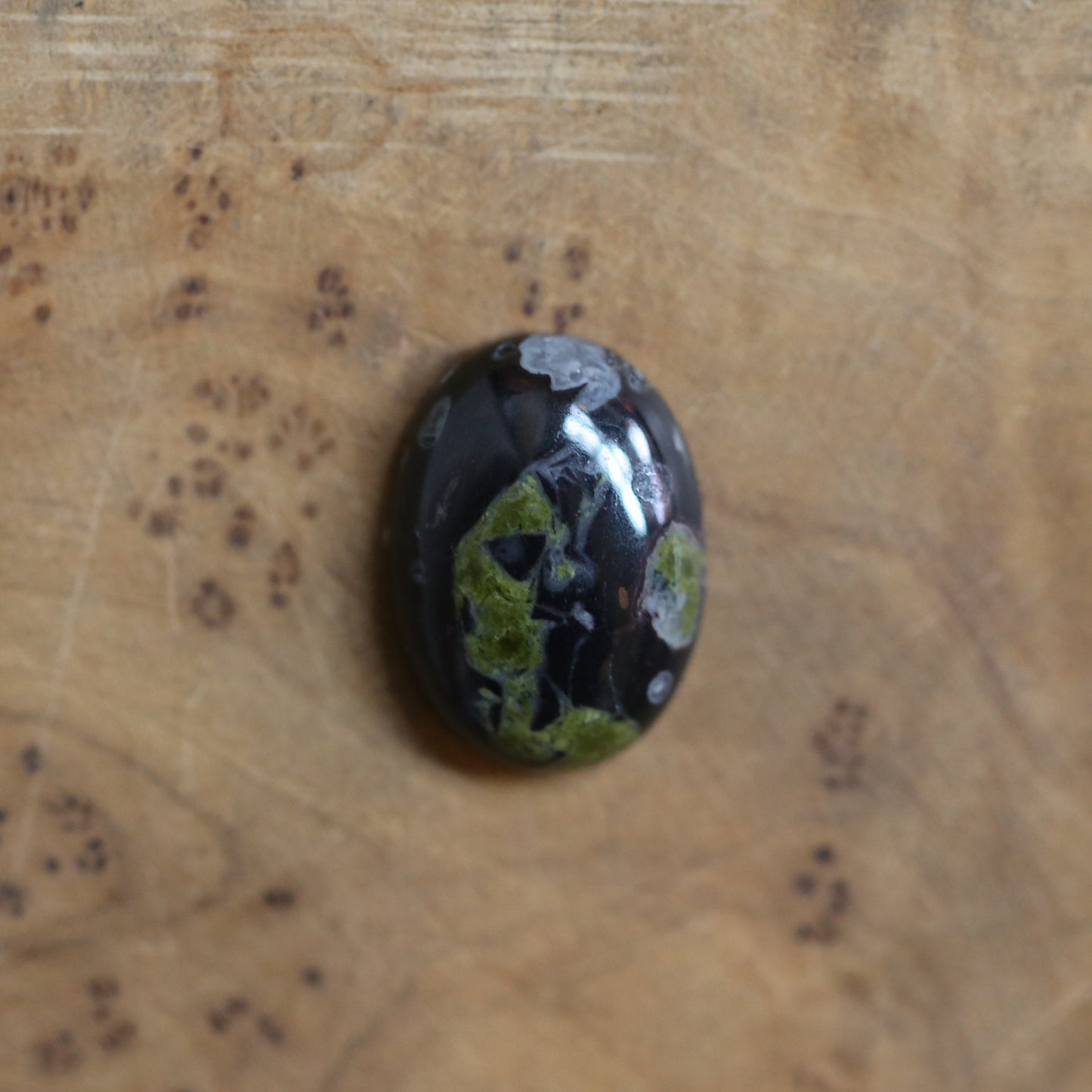 Black Fossil Bolo Necklace - Choose Your Stone - Sterling Silver