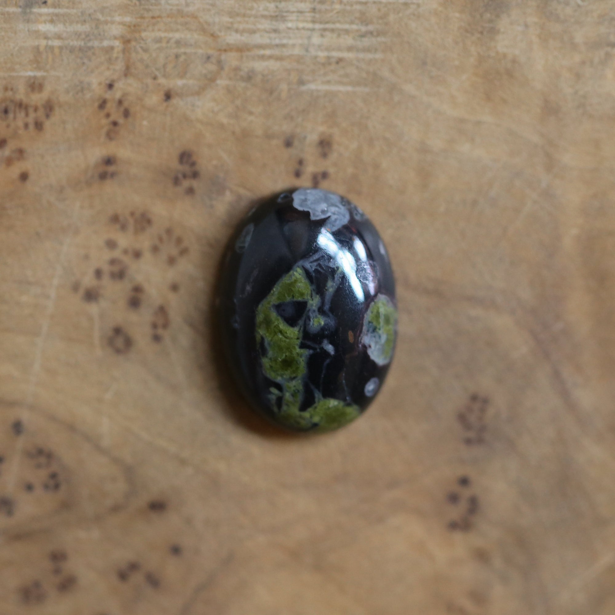 Black Fossil Bolo Necklace - Choose Your Stone - Sterling Silver