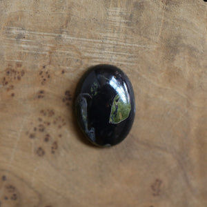 Black Fossil Bolo Necklace - Choose Your Stone - Sterling Silver