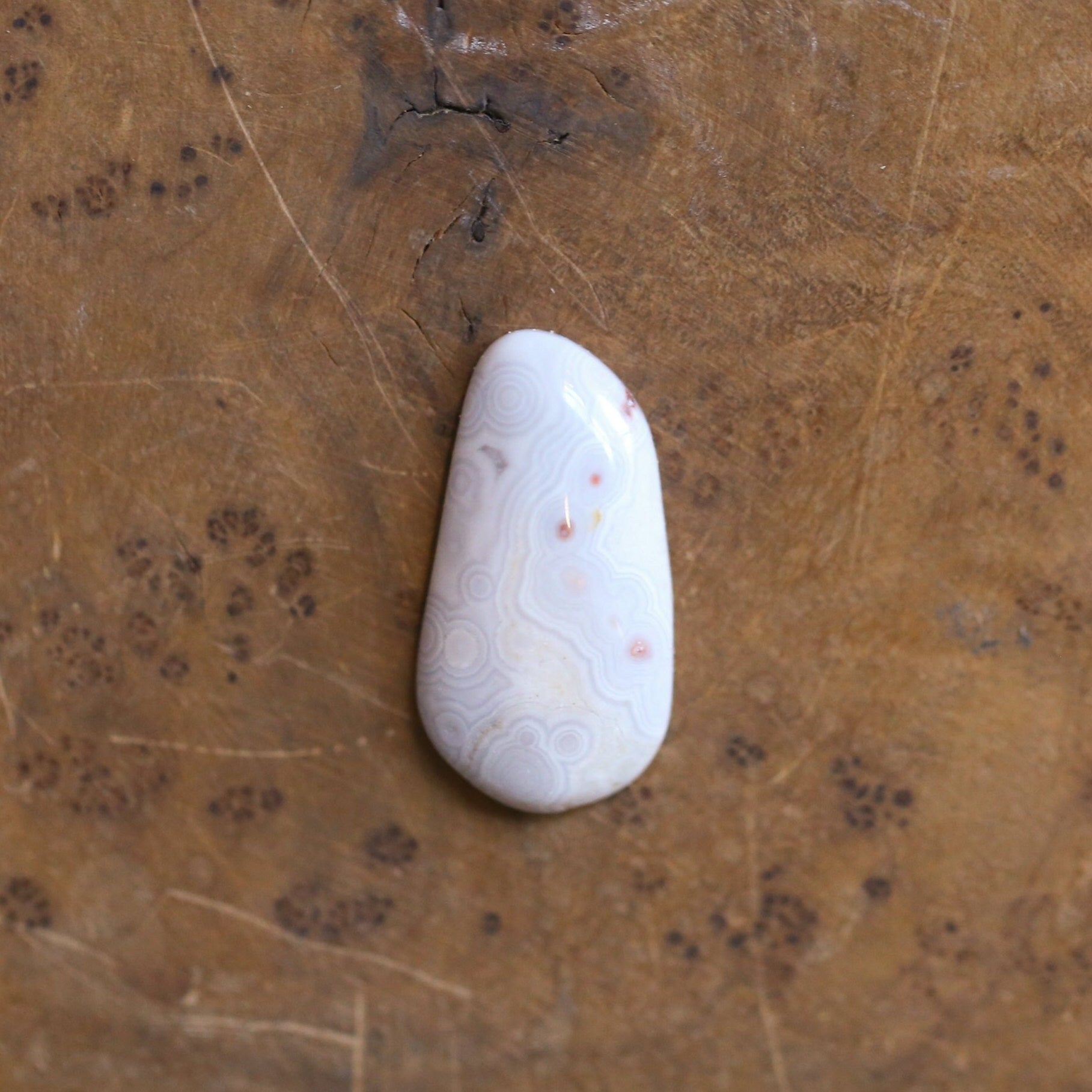 Luna Agate Ring - Sterling Silver - Choose Your Stone