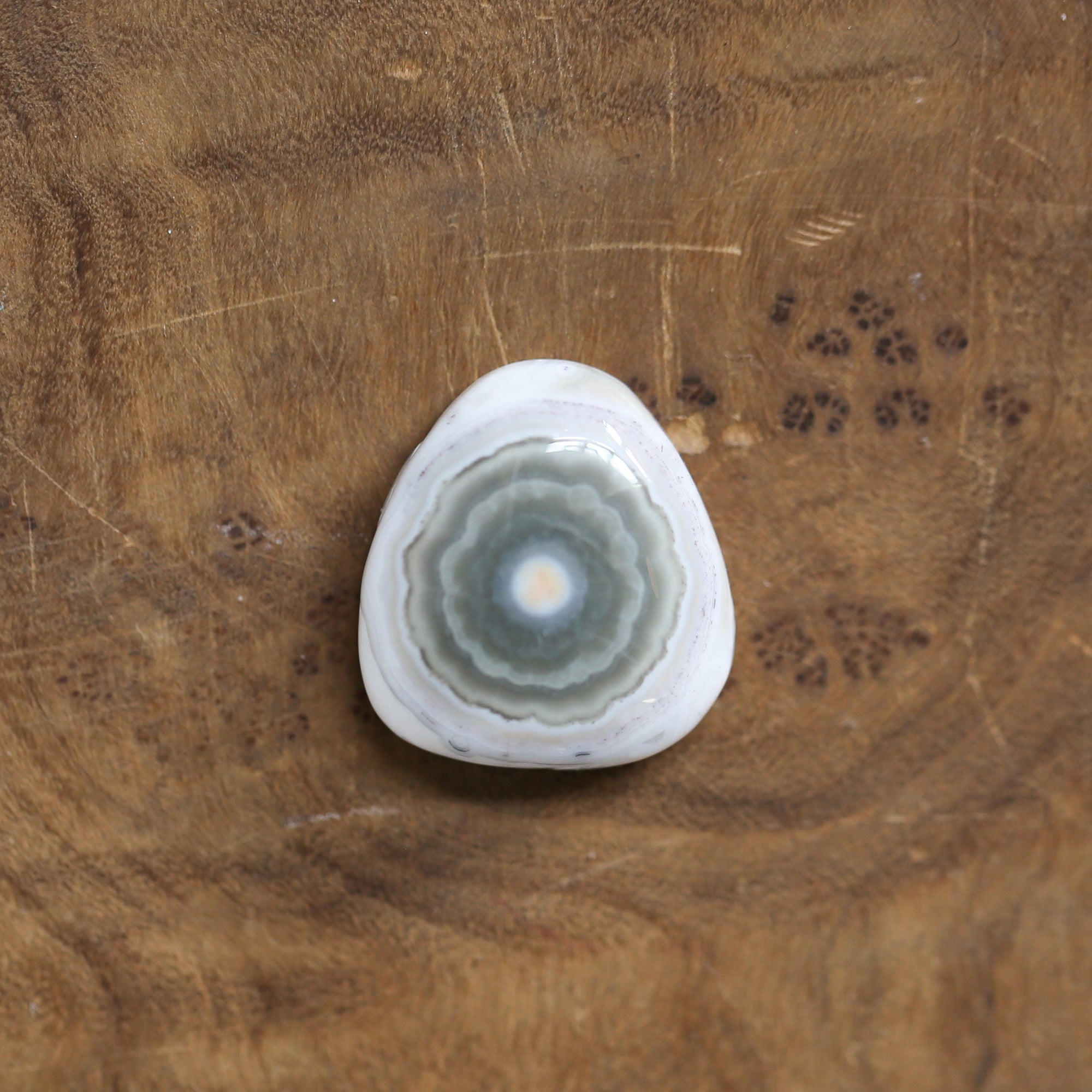 Chunky Ocean Jasper Ring - Choose Your Stone - .925 Sterling Silver