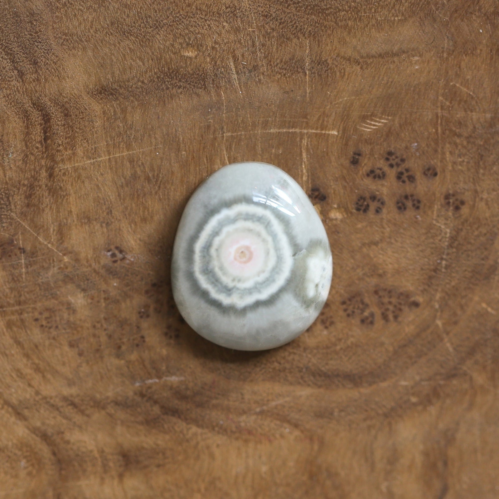 Chunky Ocean Jasper Ring - Choose Your Stone - .925 Sterling Silver