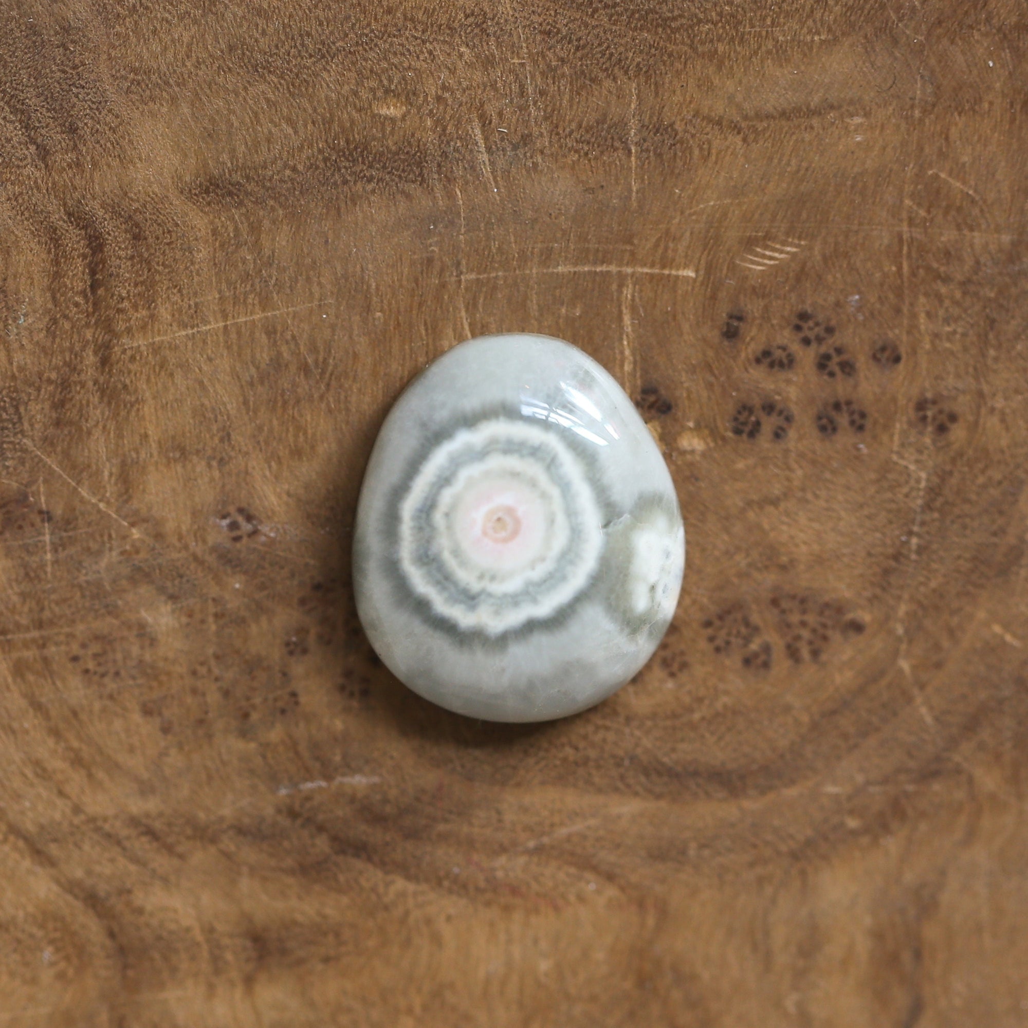 Chunky Ocean Jasper Ring - Choose Your Stone - .925 Sterling Silver