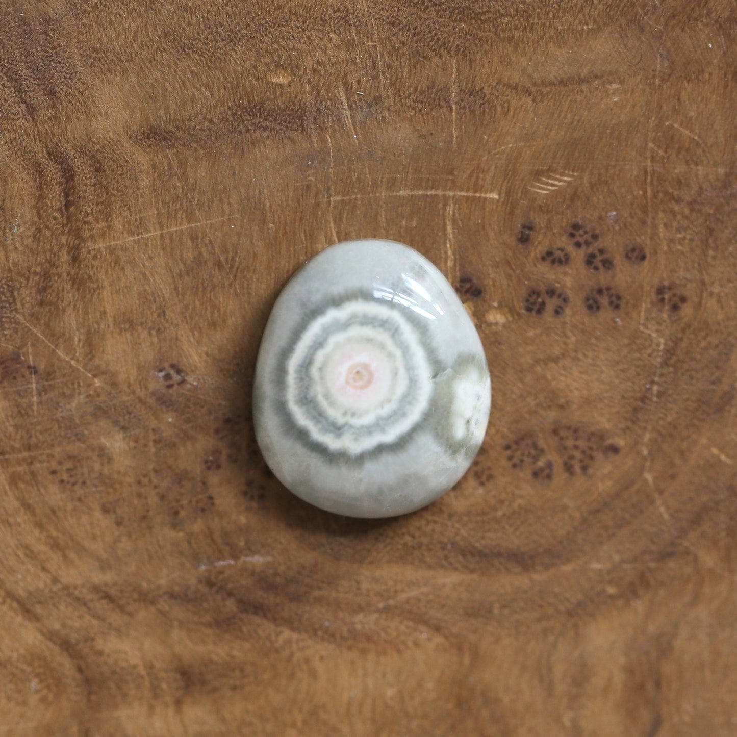Custom Chunky Ocean Jasper Ring - Choose Your Stone - .925 Sterling Silver